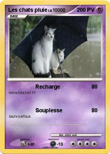 Pokemon Les chats pluie