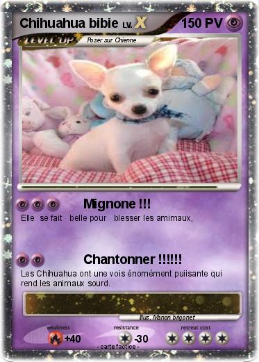 Pokemon Chihuahua bibie