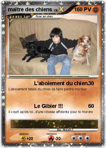 Pokemon maître des chiens