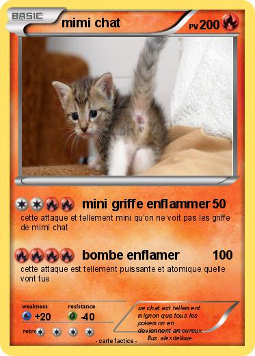 Pokemon mimi chat