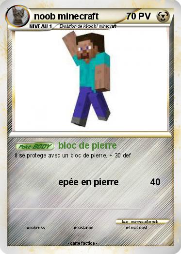 Pokemon noob minecraft