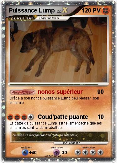 Pokemon Puissance Lump