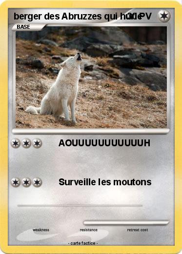 Pokemon berger des Abruzzes qui hurle