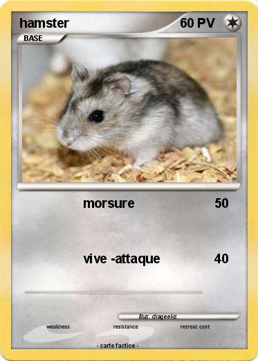 Pokemon hamster