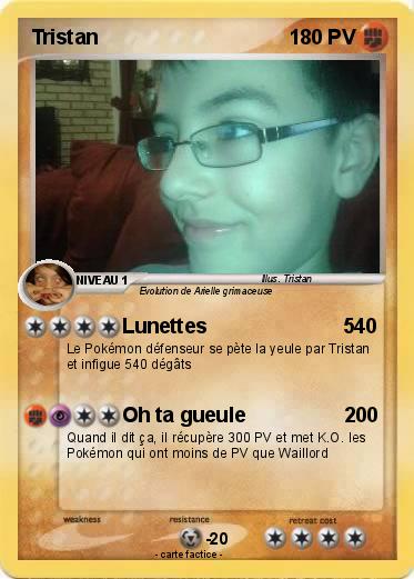 Pokemon Tristan