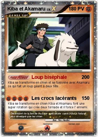 Pokemon Kiba et Akamaru
