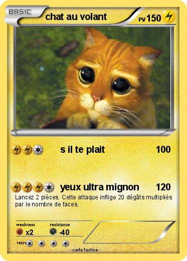 Pokemon chat au volant