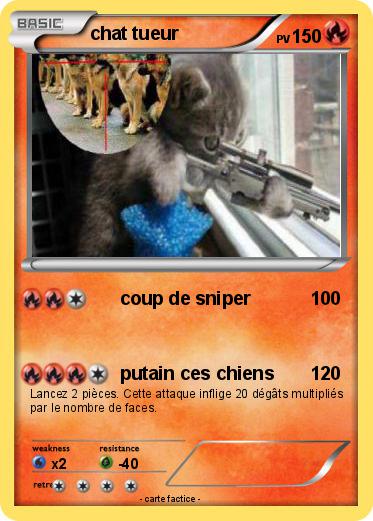Pokemon chat tueur