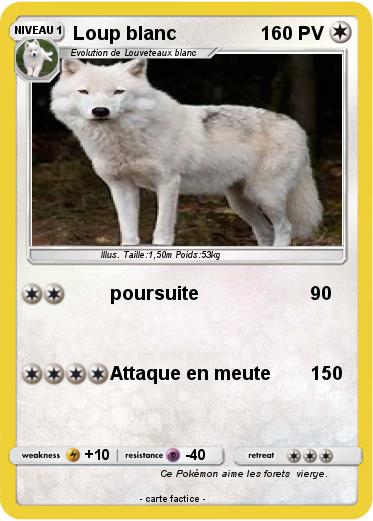 Pokemon Loup blanc
