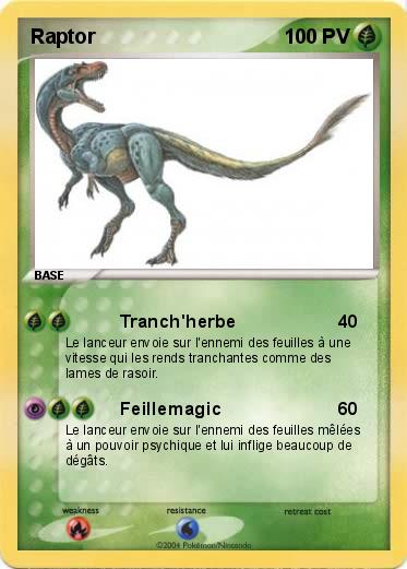 Pokemon Raptor
