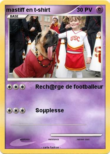 Pokemon mastiff en t-shirt