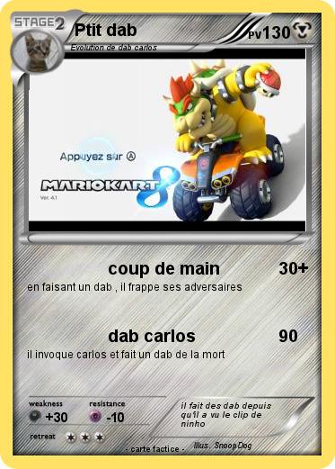 Pokemon Ptit dab