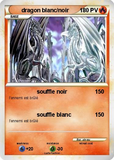 Pokemon dragon blanc/noir