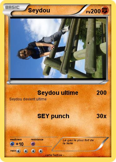 Pokemon Seydou