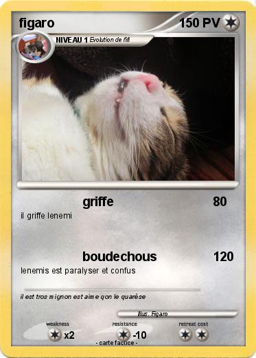 Pokemon figaro