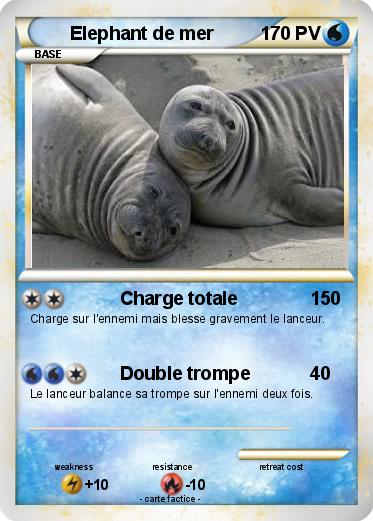 Pokemon Elephant de mer