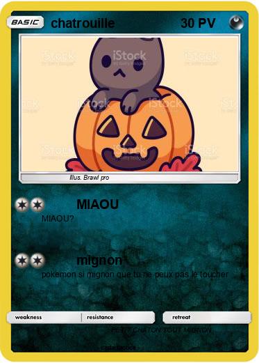 Pokemon chatrouille