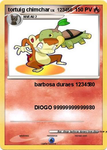 Pokemon tortuig chimchar