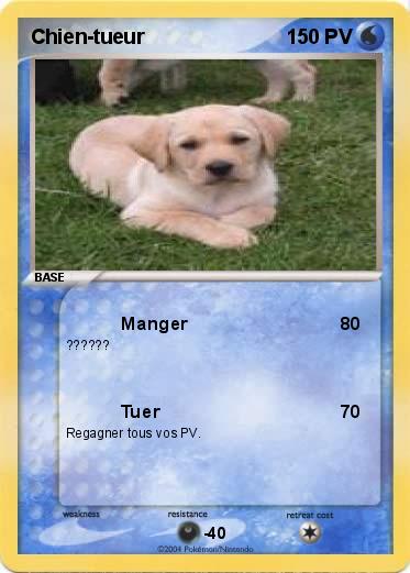 Pokemon Chien-tueur