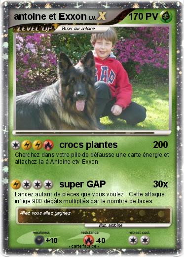 Pokemon antoine et Exxon