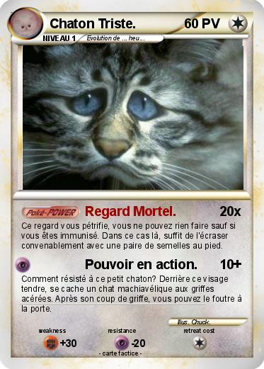 Pokemon Chaton Triste.