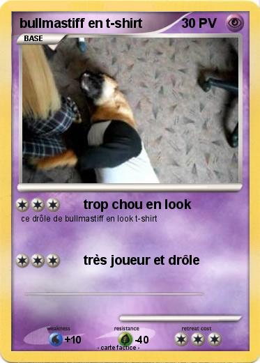 Pokemon bullmastiff en t-shirt