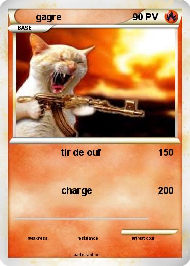 Pokemon gagre