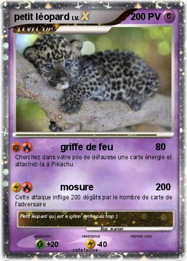 Pokemon petit léopard