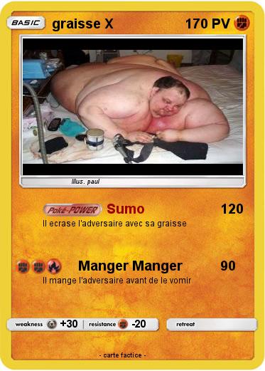 Pokemon graisse X