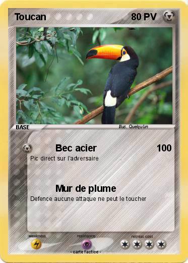 Pokemon Toucan