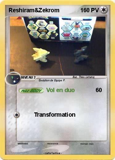 Pokemon Reshiram&Zekrom