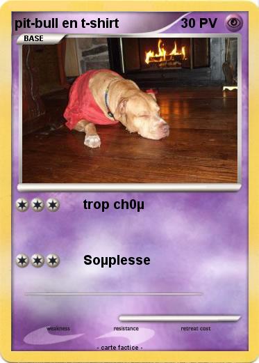 Pokemon pit-bull en t-shirt