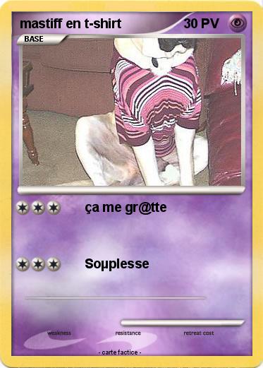 Pokemon mastiff en t-shirt