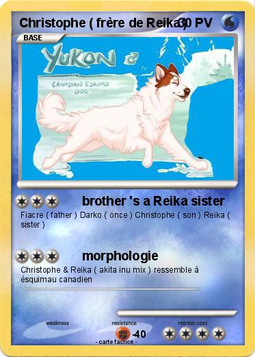 Pokemon Christophe ( frère de Reika )