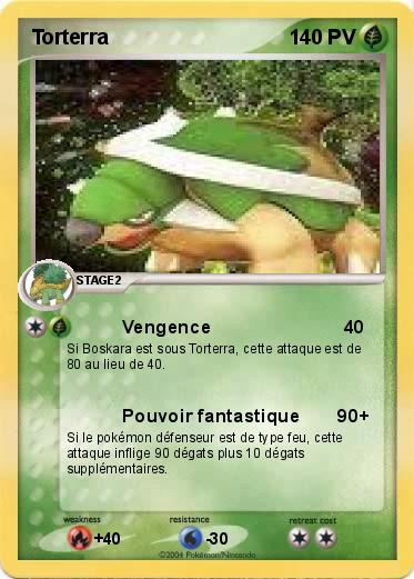 Pokemon Torterra