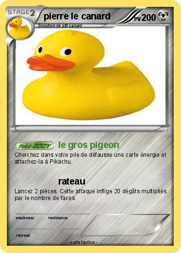 Pokemon pierre le canard