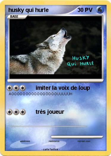 Pokemon husky qui hurle