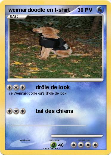 Pokemon weimardoodle en t-shirt