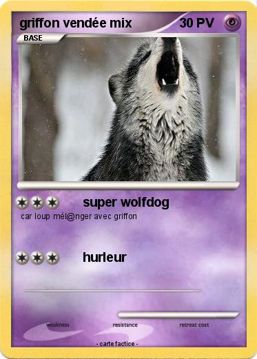 Pokemon griffon vendée mix