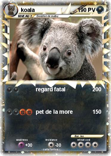 Pokemon koala