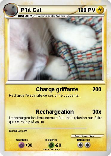 Pokemon P'tit Cat