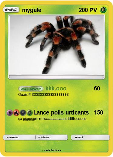 Pokemon mygale