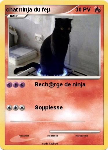 Pokemon chat ninja du feµ