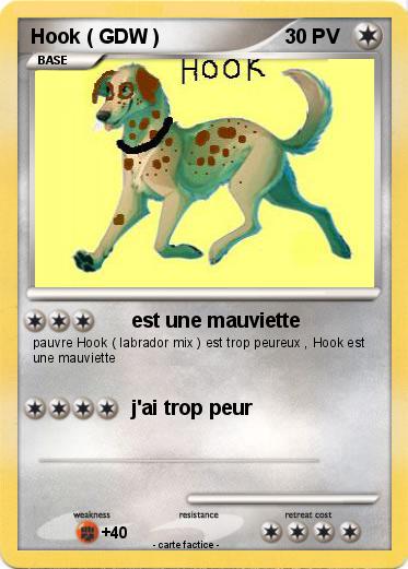 Pokemon Hook ( GDW )