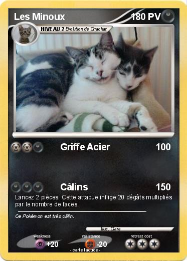 Pokemon Les Minoux