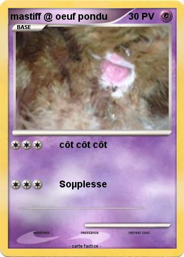 Pokemon mastiff @ oeuf pondu