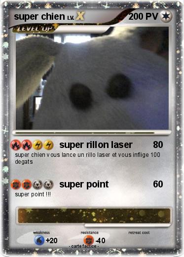 Pokemon super chien