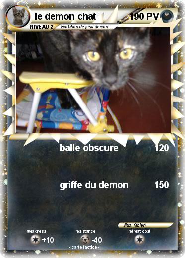 Pokemon le demon chat