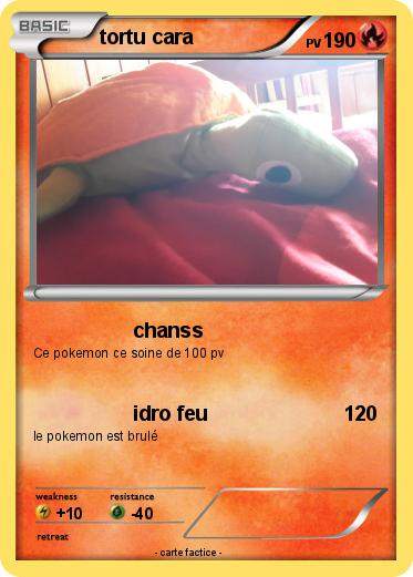 Pokemon tortu cara