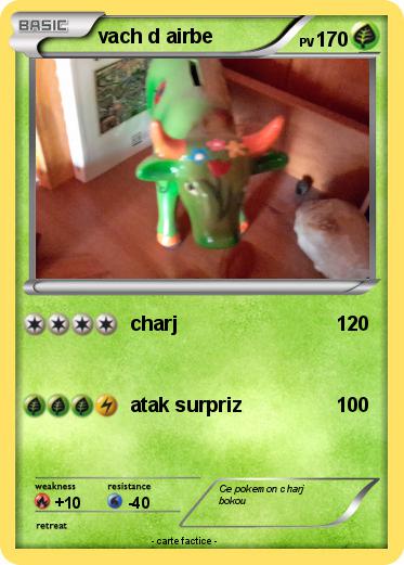 Pokemon vach d airbe